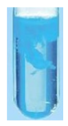 précipité bleu