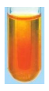 précipité orange