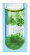 précipité vert